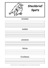 Steckbriefvorlage-Spatz.pdf